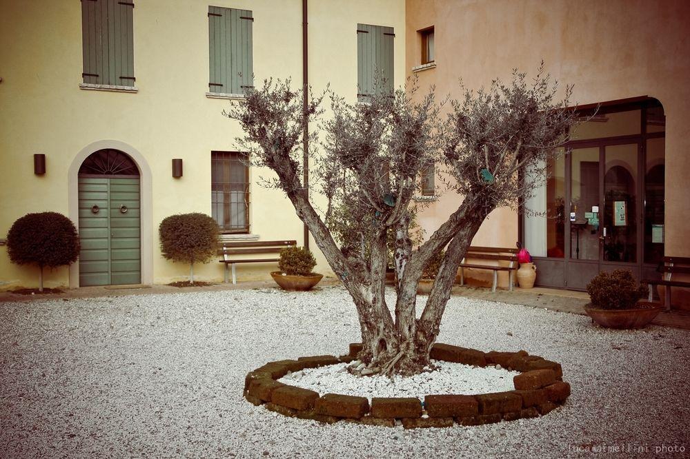 Agriturismo Cascina Boschi Apartamento Volta Mantovana Exterior foto